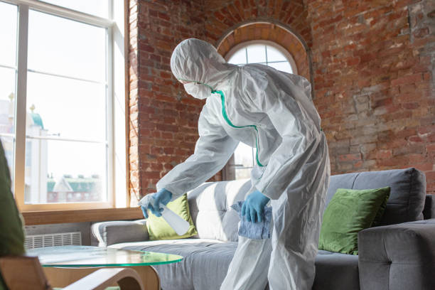 Why You Should Choose Our Mold Remediation Services in Myerstown, PA